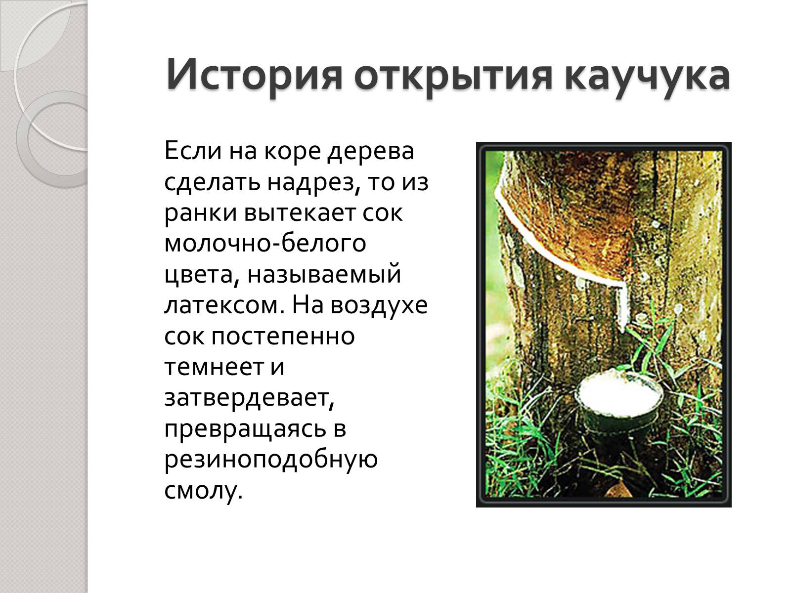 Презентація на тему «Натуральный и синтетический каучуки» - Слайд #3 Презентація на тему «Натуральный и синтетический каучуки» - Слайд #3