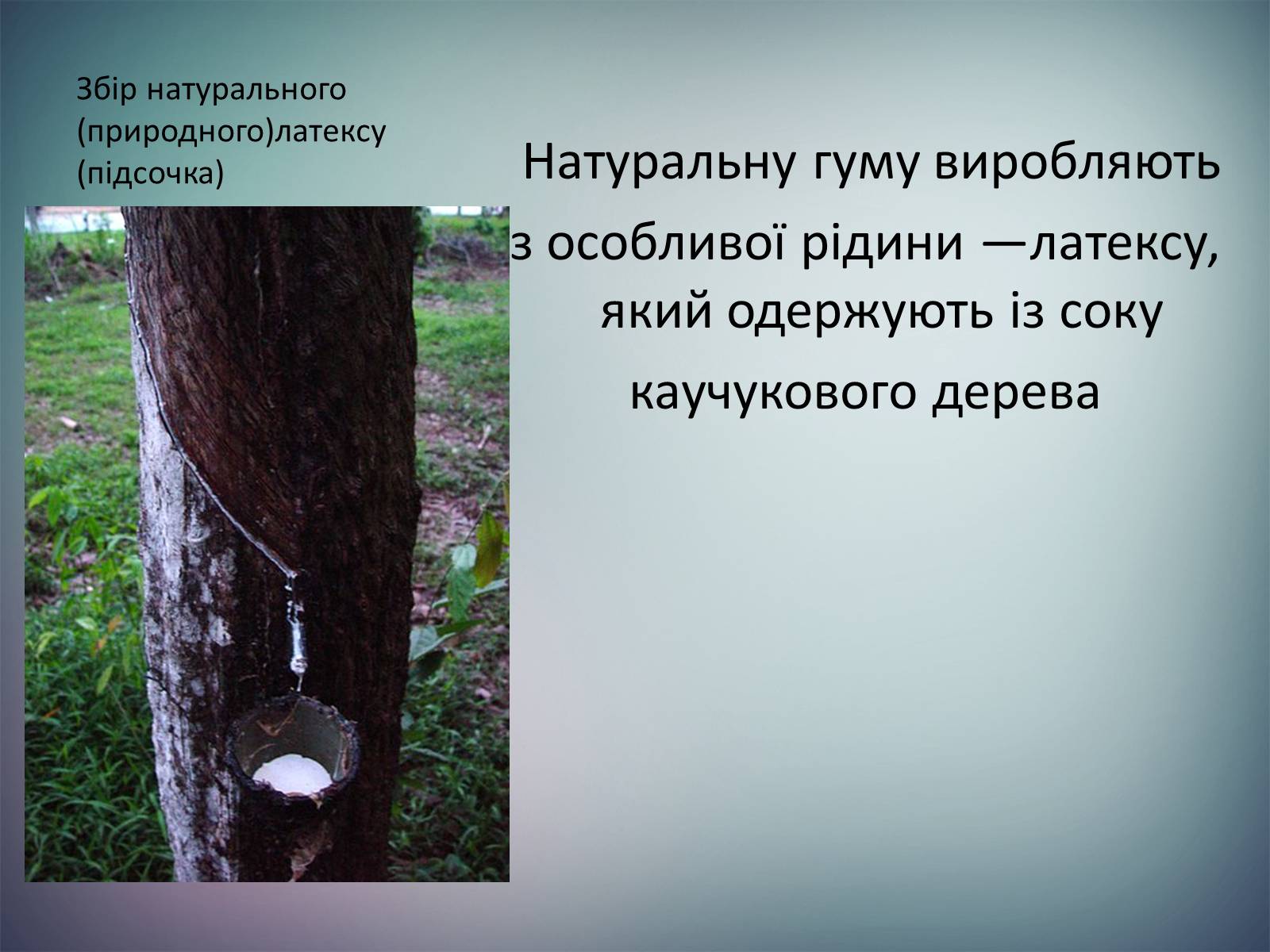 Презентація на тему «Пластмаси.Синтетичні каучуки.Гума» - Слайд #17 Презентація на тему «Пластмаси.Синтетичні каучуки.Гума» - Слайд #17