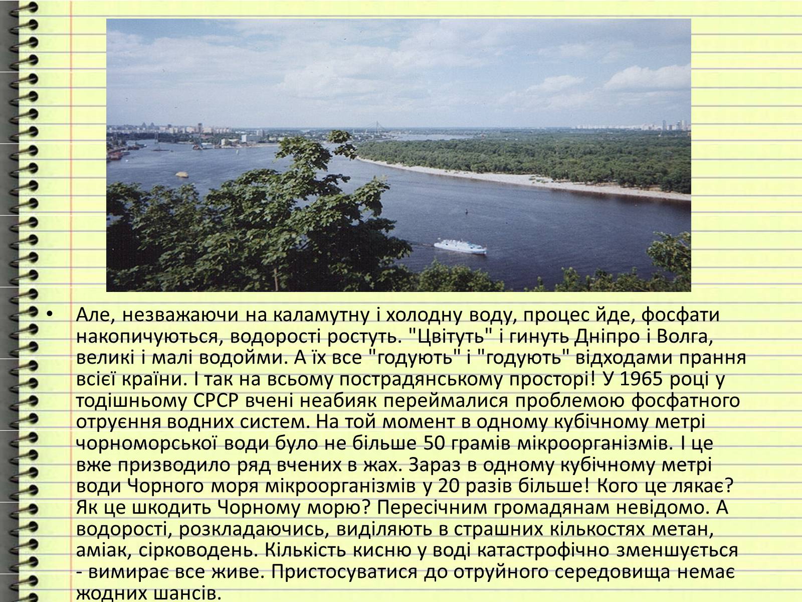 Презентація на тему «Захист довкілля від забруднення шкідливих мійних засобів» - Слайд #5 Презентація на тему «Захист довкілля від забруднення шкідливих мійних засобів» - Слайд #5