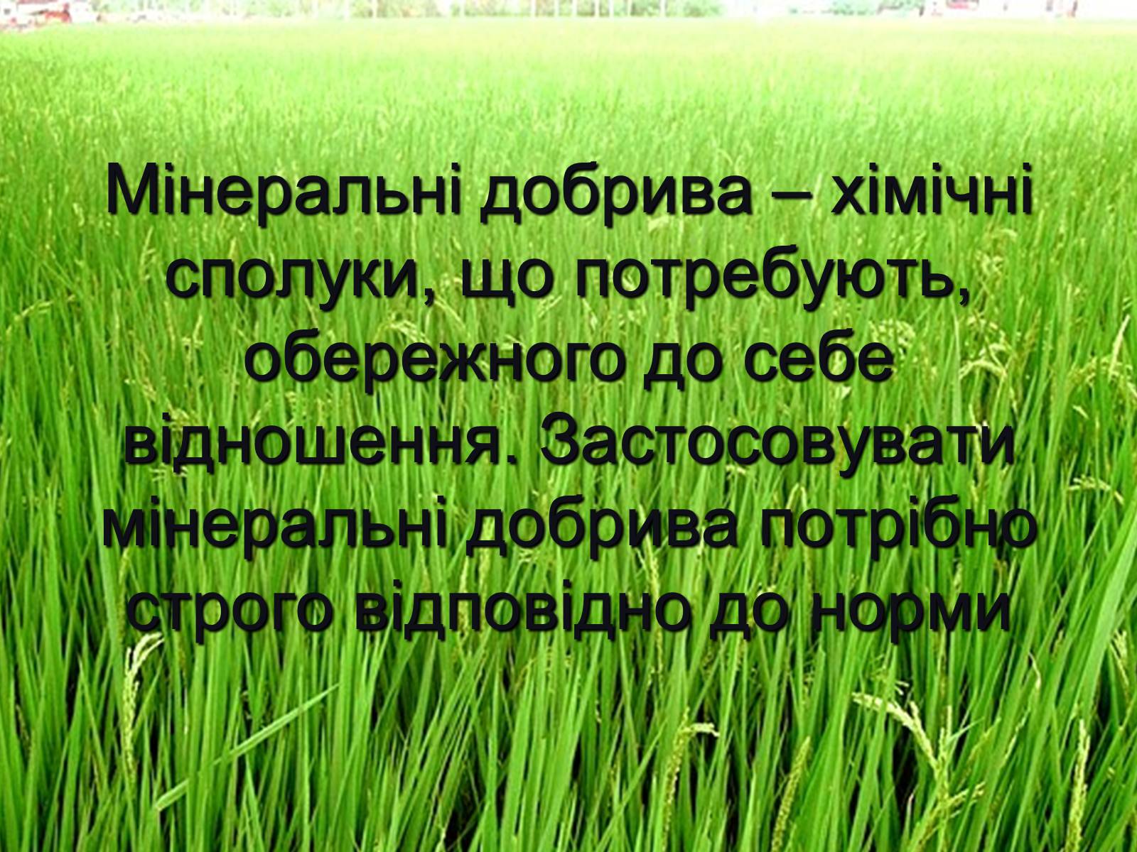 Презентація на тему «Мінеральні добрива» (варіант 1) - Слайд #2 Презентація на тему «Мінеральні добрива» (варіант 1) - Слайд #2