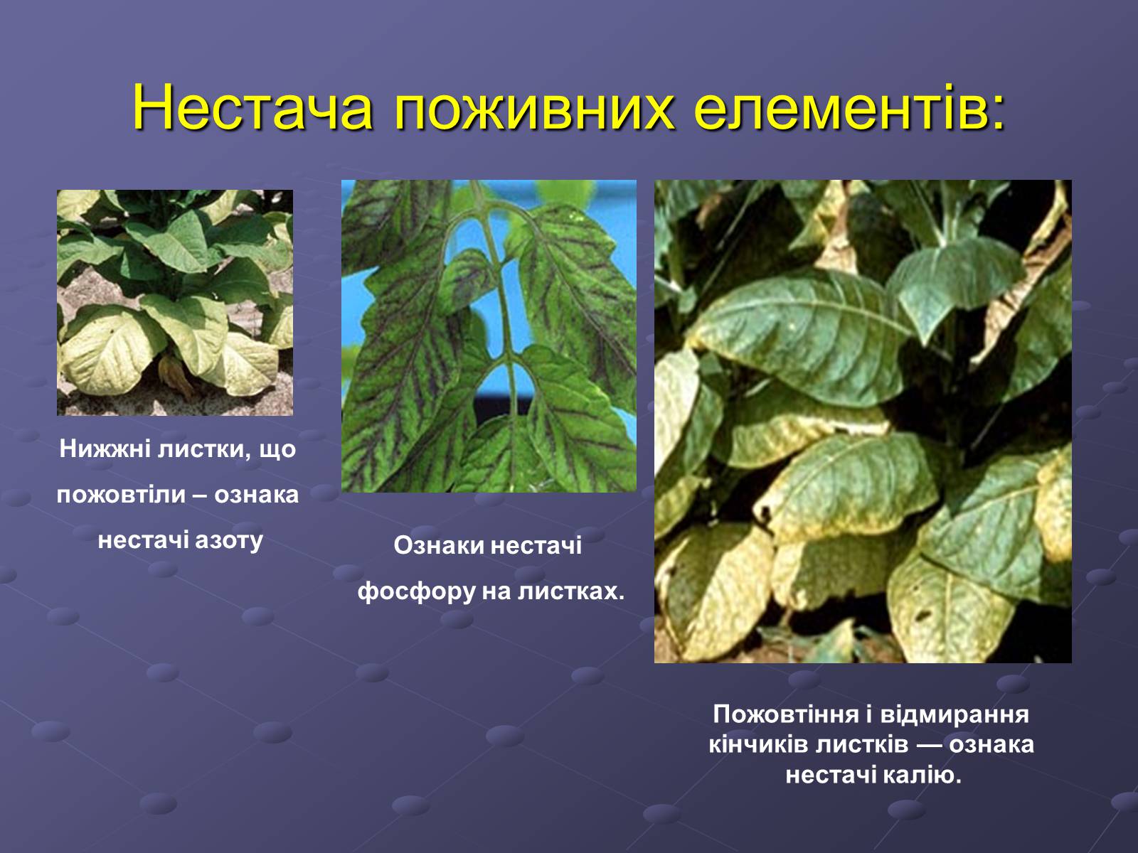 Презентація на тему «Мінеральні добрива» (варіант 1) - Слайд #3 Презентація на тему «Мінеральні добрива» (варіант 1) - Слайд #3