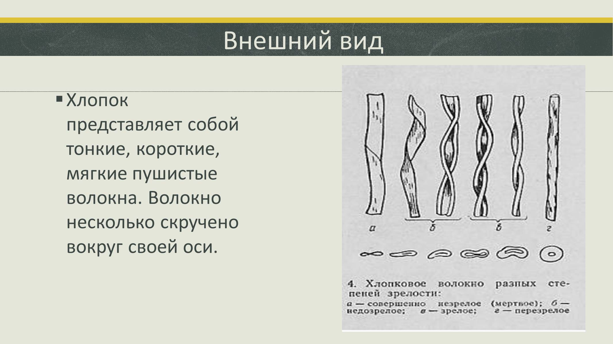 Презентація на тему «Волокна» (варіант 4) - Слайд #9 Презентація на тему «Волокна» (варіант 4) - Слайд #9