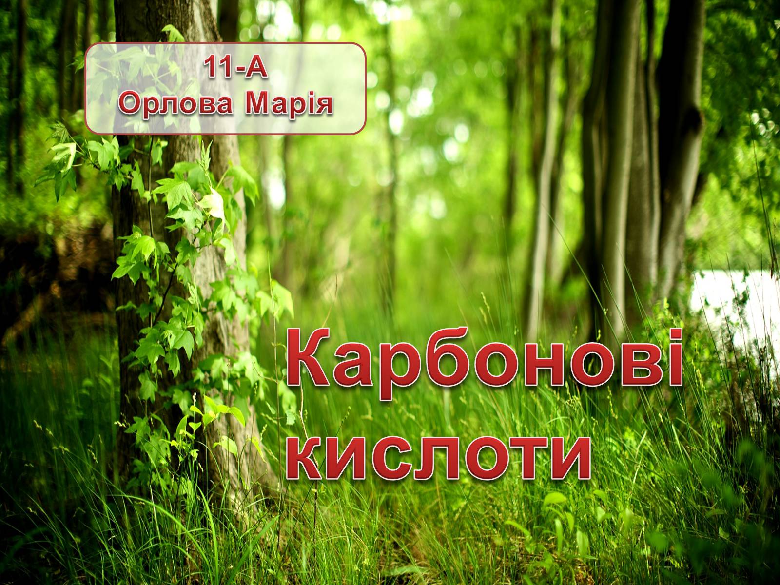 Презентація на тему «Карбонатна кислота» (варіант 2) - Слайд #1 Презентація на тему «Карбонатна кислота» (варіант 2) - Слайд #1