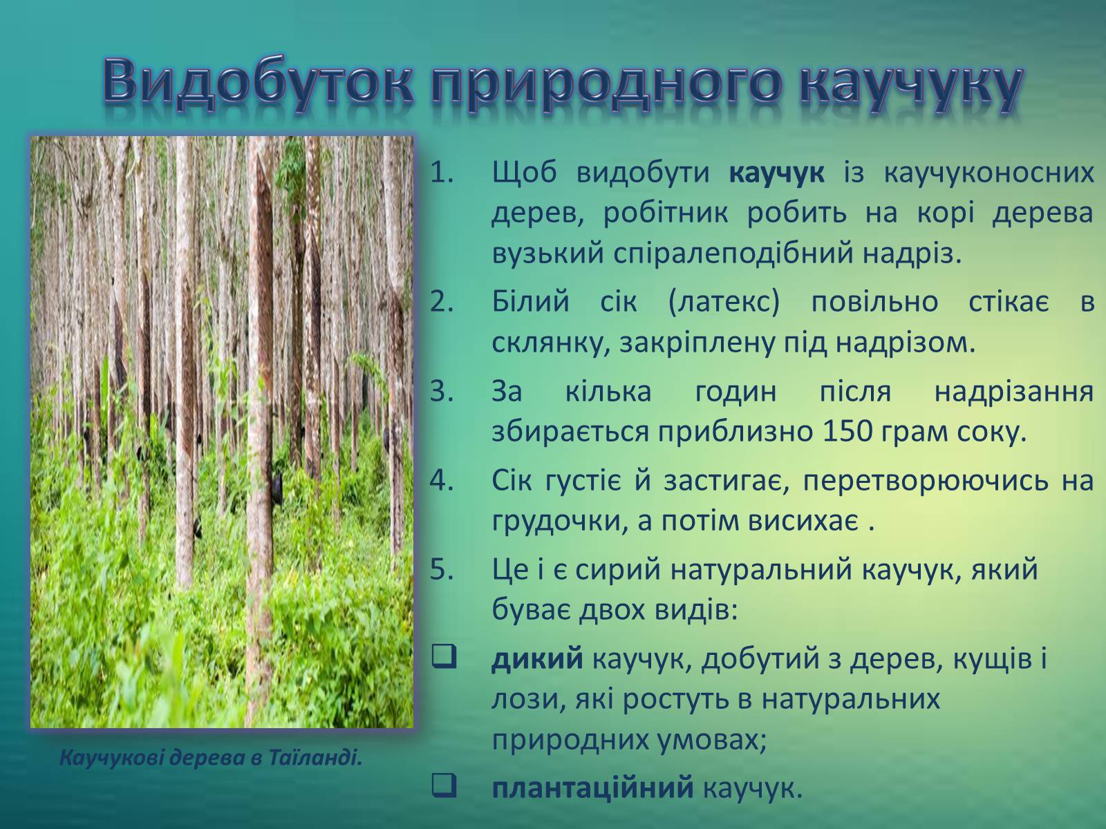 Презентація на тему «Каучуки. Гума» - Слайд #6 Презентація на тему «Каучуки. Гума» - Слайд #6