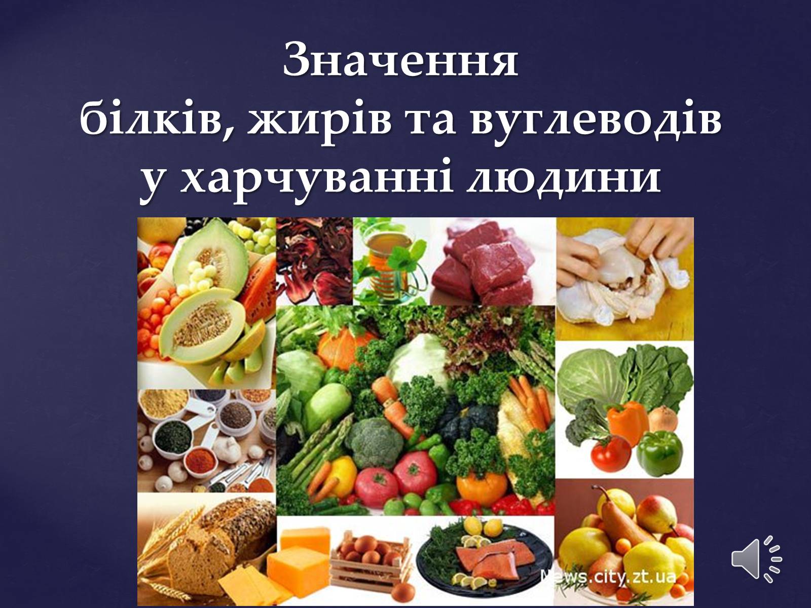 Презентація на тему «Значення білків, жирів та вуглеводів у харчуванні людини» - Слайд #1 Презентація на тему «Значення білків, жирів та вуглеводів у харчуванні людини» - Слайд #1