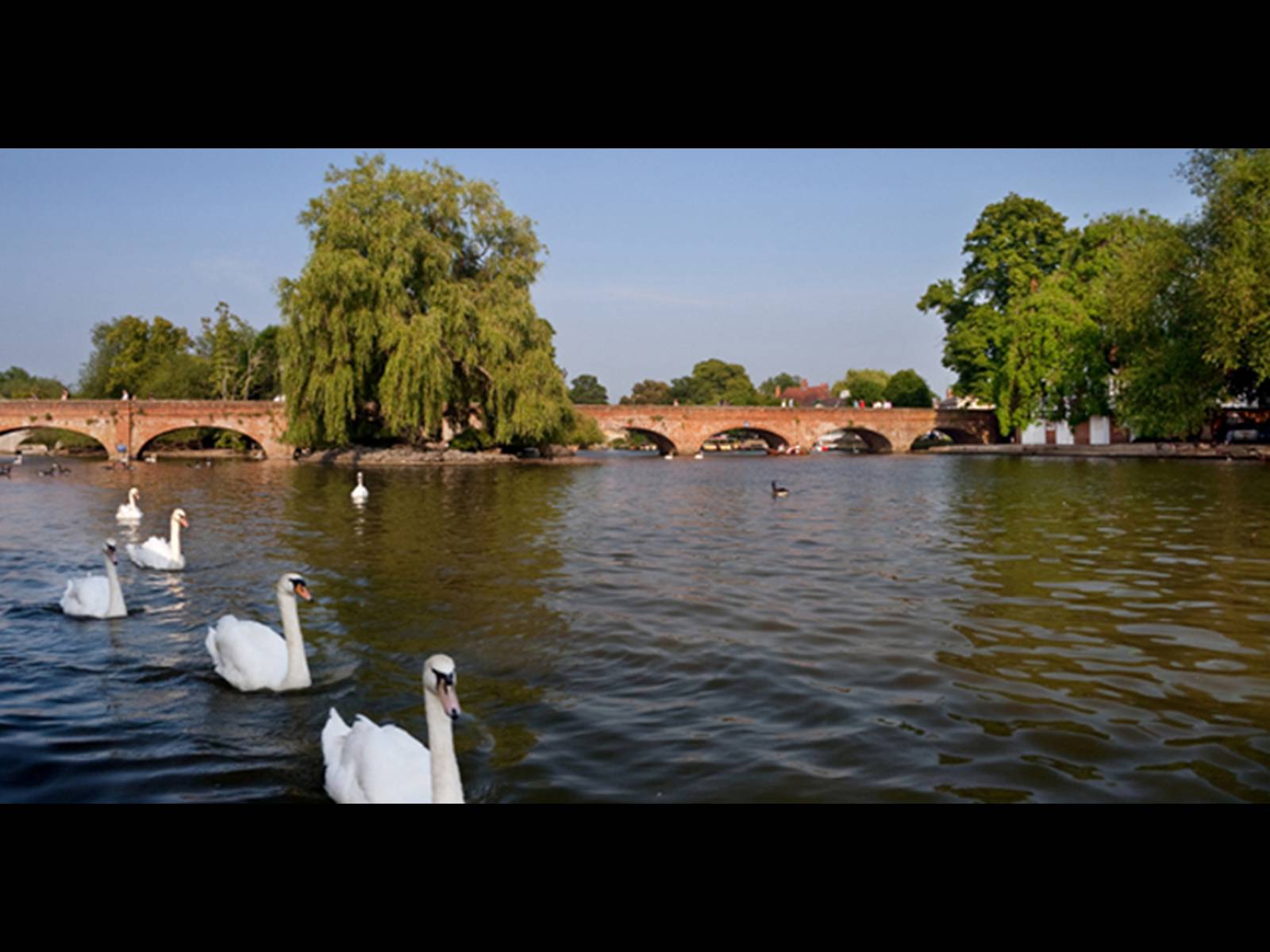 Презентація на тему «Stratford-upon-Avo» - Слайд #15 Презентація на тему «Stratford-upon-Avo» - Слайд #15