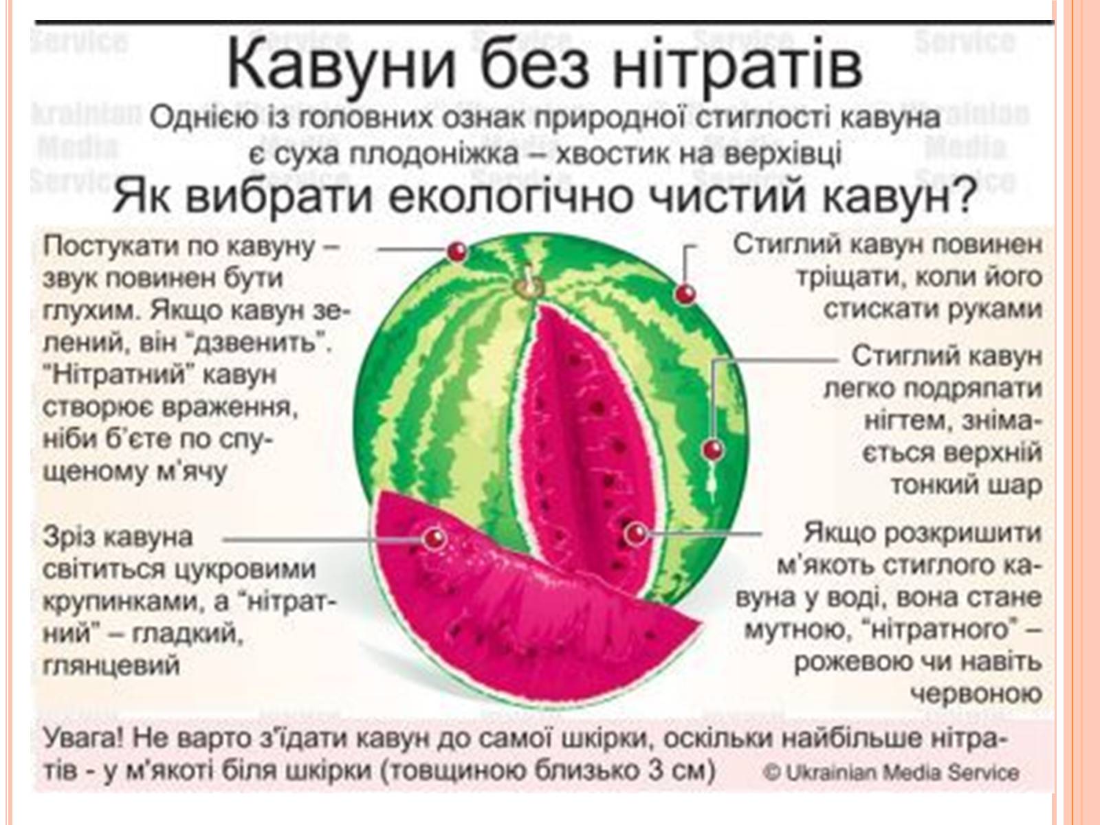 Презентація на тему «Нітрати в продуктах харчування» - Слайд #12 Презентація на тему «Нітрати в продуктах харчування» - Слайд #12