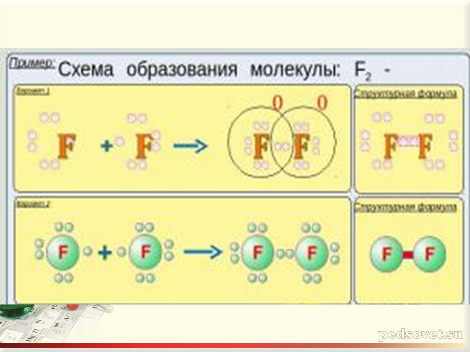 Презентація на тему «Характеристика галогенів. Їх біологічне значення» - Слайд #12 Презентація на тему «Характеристика галогенів. Їх біологічне значення» - Слайд #12