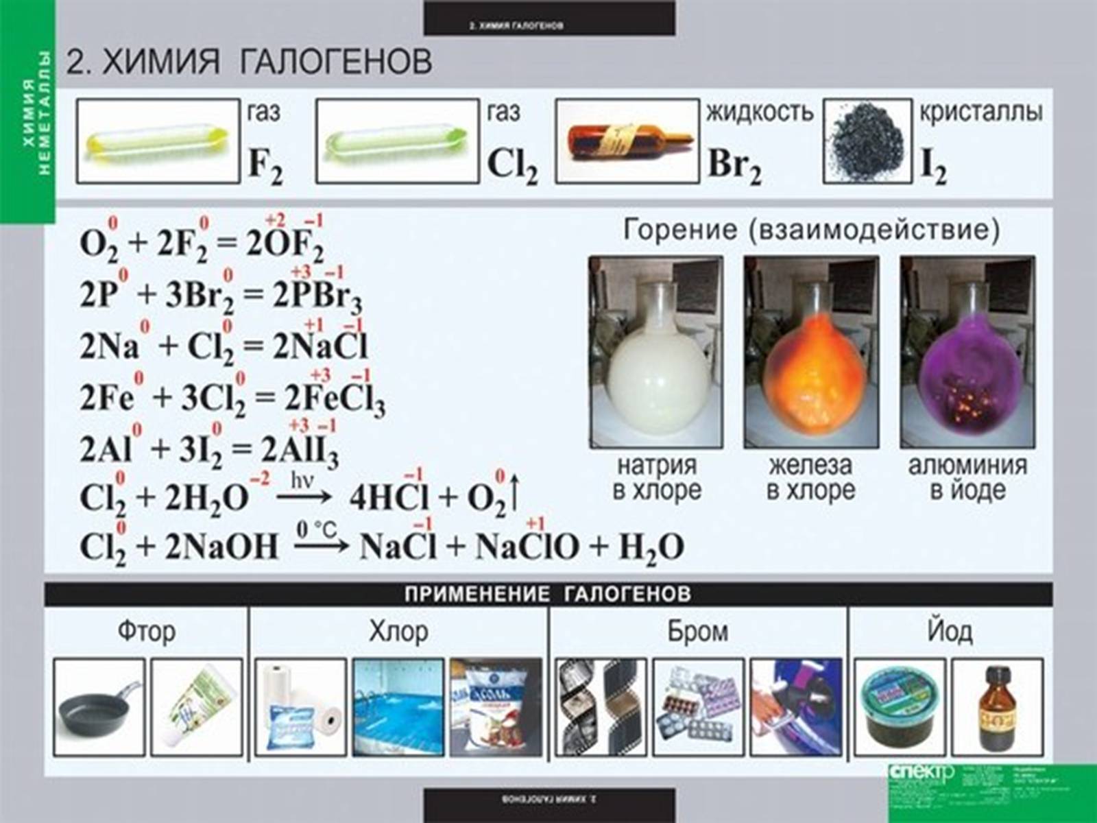 Презентація на тему «Характеристика галогенів. Їх біологічне значення» - Слайд #5 Презентація на тему «Характеристика галогенів. Їх біологічне значення» - Слайд #5