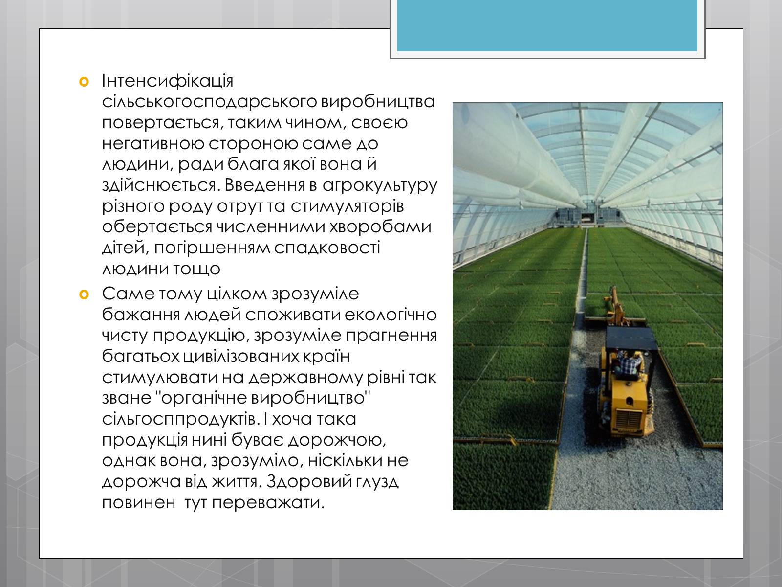 Презентація на тему «Продовольча проблема і хімія» - Слайд #11 Презентація на тему «Продовольча проблема і хімія» - Слайд #11