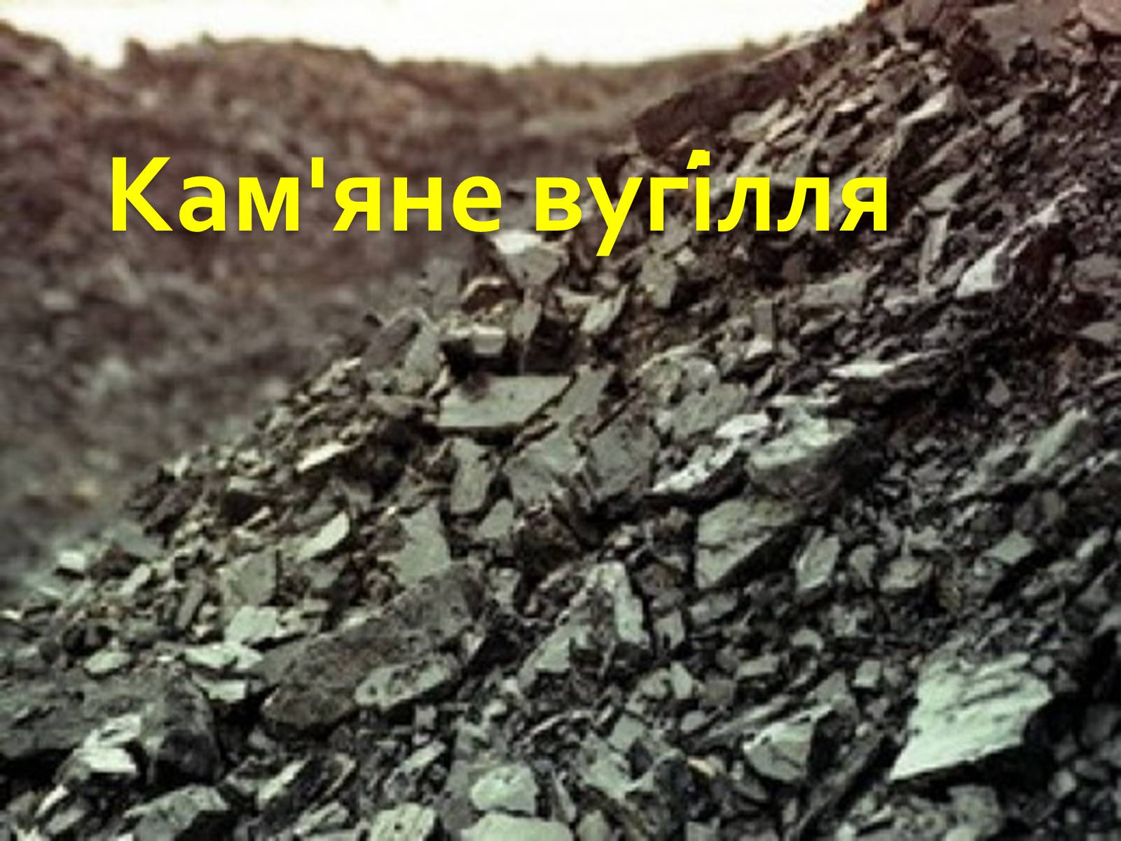 Презентація на тему «Кам’яне вугі?лля» - Слайд #1 Презентація на тему «Кам’яне вугі?лля» - Слайд #1