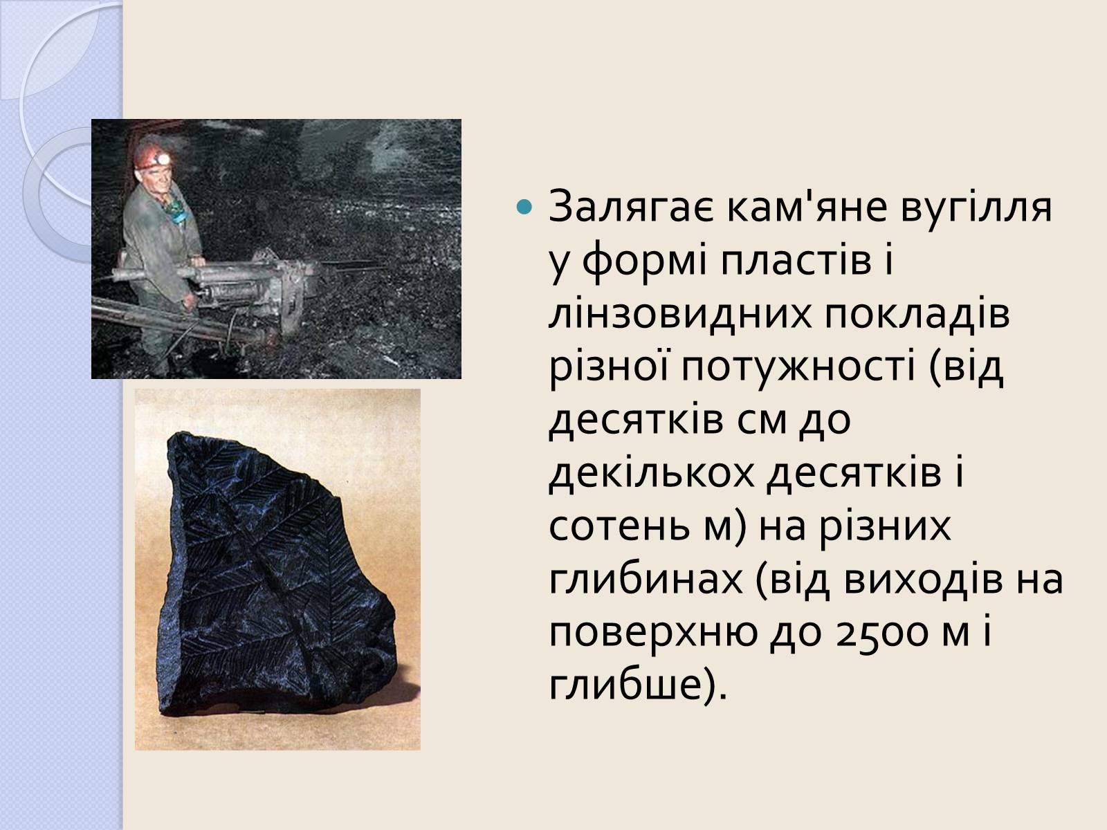 Презентація на тему «Кам’яне вугі?лля» - Слайд #4 Презентація на тему «Кам’яне вугі?лля» - Слайд #4