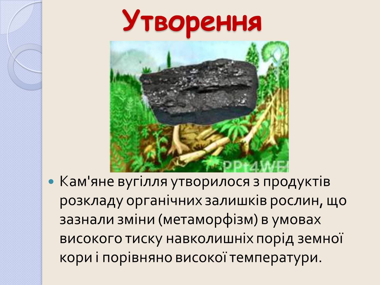 Презентація на тему «Кам’яне вугі?лля» - Слайд #6 Презентація на тему «Кам’яне вугі?лля» - Слайд #6