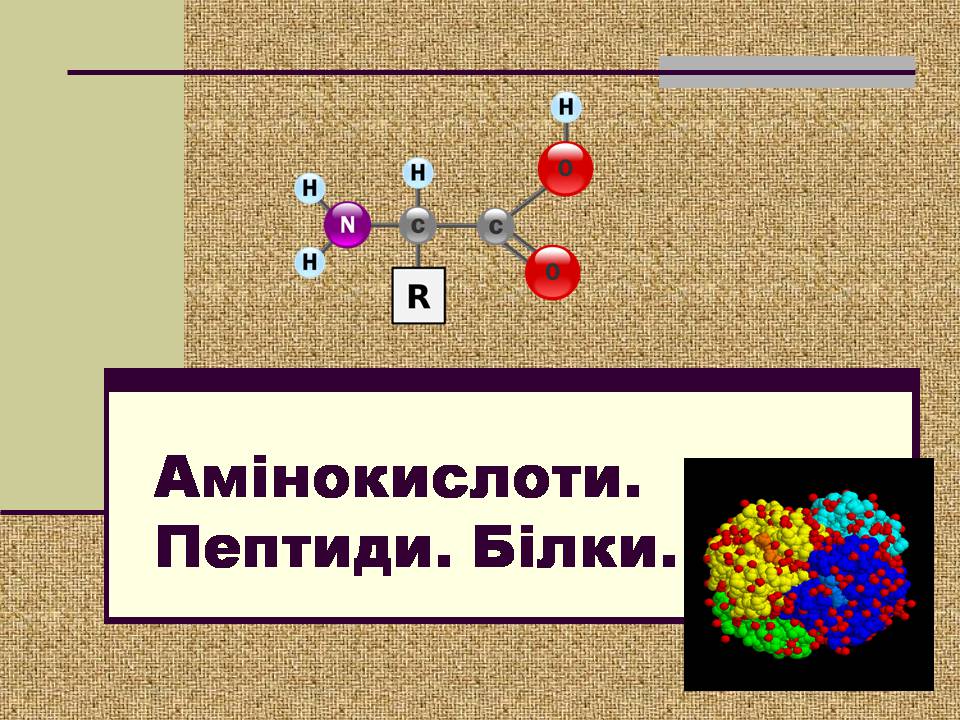 Презентація на тему «Амінокислоти. Пептиди. Білки» - Слайд #1 Презентація на тему «Амінокислоти. Пептиди. Білки» - Слайд #1