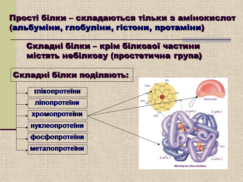 Презентація на тему «Амінокислоти. Пептиди. Білки» - Слайд #18 Презентація на тему «Амінокислоти. Пептиди. Білки» - Слайд #18