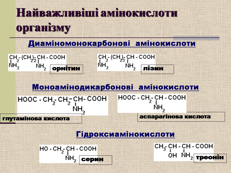 Презентація на тему «Амінокислоти. Пептиди. Білки» - Слайд #6 Презентація на тему «Амінокислоти. Пептиди. Білки» - Слайд #6