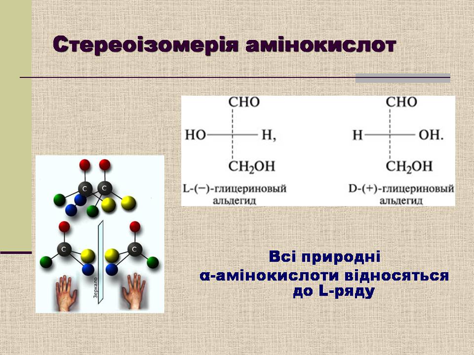 Презентація на тему «Амінокислоти. Пептиди. Білки» - Слайд #9 Презентація на тему «Амінокислоти. Пептиди. Білки» - Слайд #9