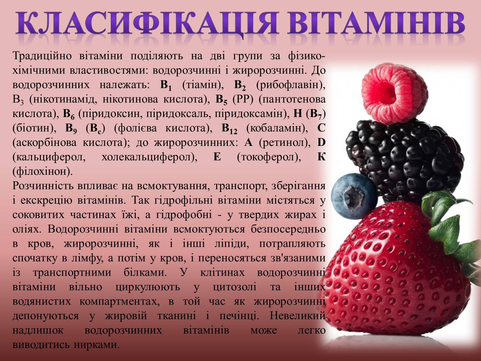 Презентація на тему «Жири» (варіант 18) - Слайд #14 Презентація на тему «Жири» (варіант 18) - Слайд #14