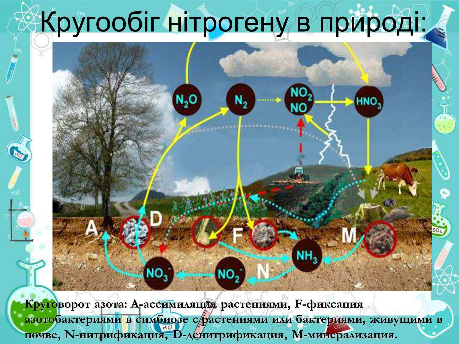 Презентація на тему «Сполуки неметалічних елементів з Гідрогеном» - Слайд #19 Презентація на тему «Сполуки неметалічних елементів з Гідрогеном» - Слайд #19