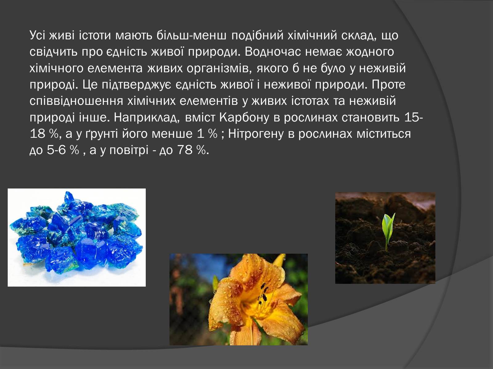Презентація на тему «Біологічна роль Карбону та Силіцію» - Слайд #2 Презентація на тему «Біологічна роль Карбону та Силіцію» - Слайд #2
