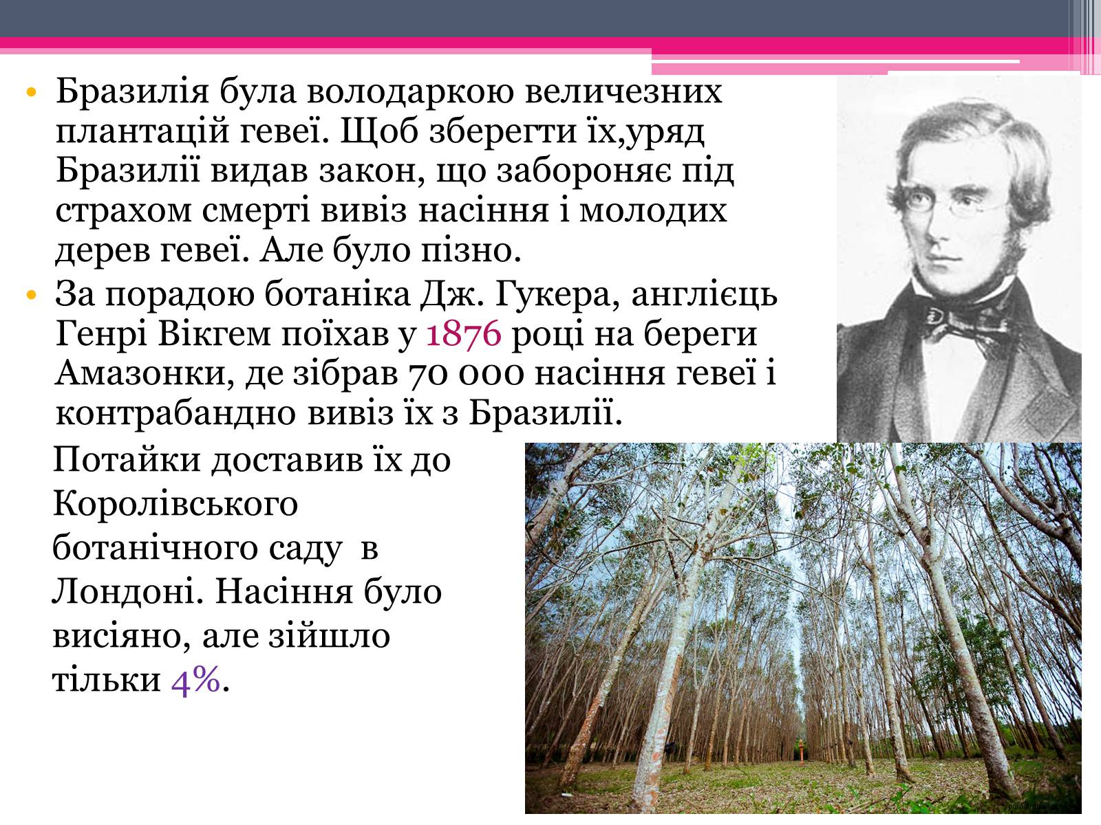 Презентація на тему «Природний каучук» - Слайд #19 Презентація на тему «Природний каучук» - Слайд #19