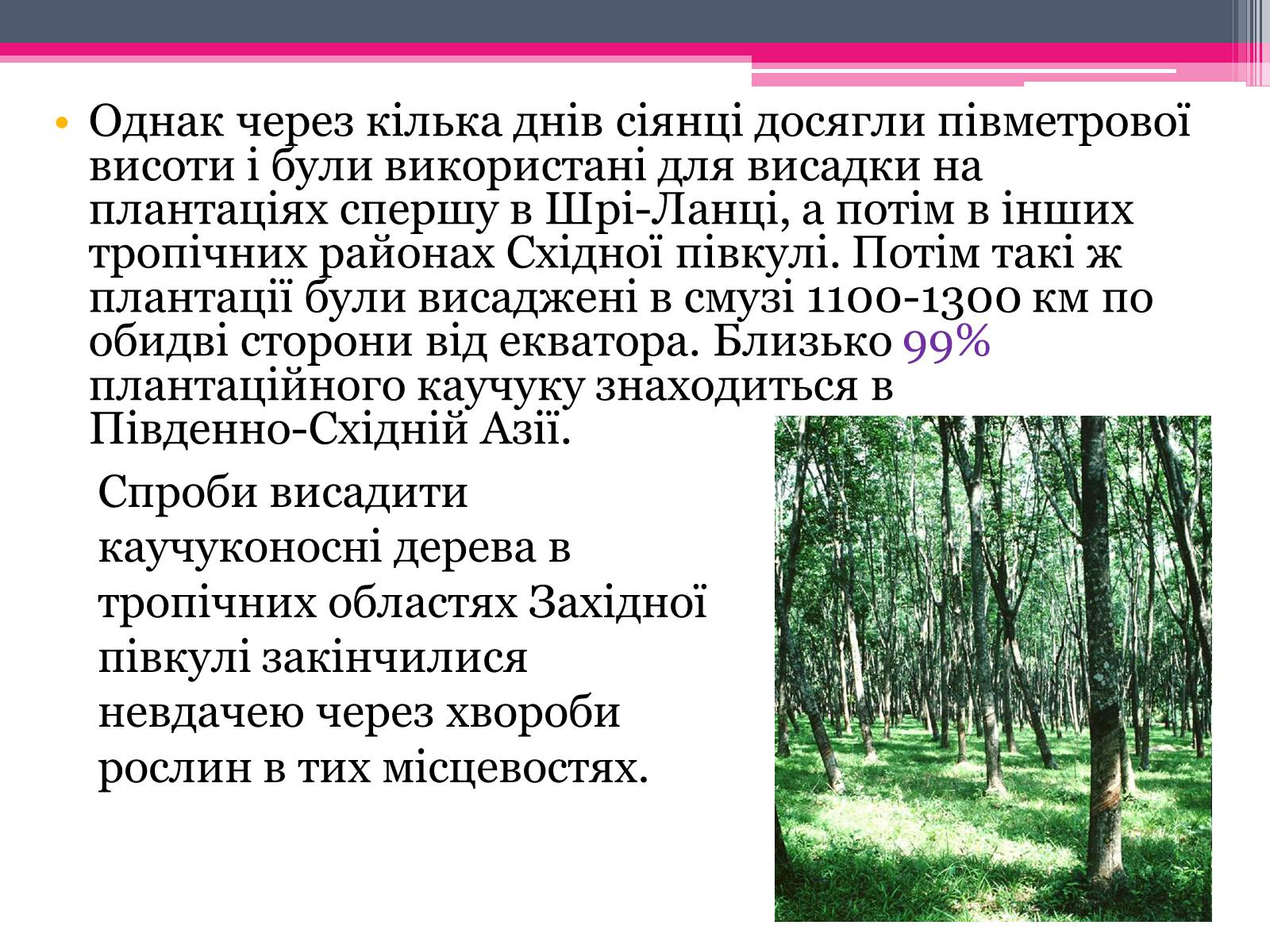 Презентація на тему «Природний каучук» - Слайд #20 Презентація на тему «Природний каучук» - Слайд #20