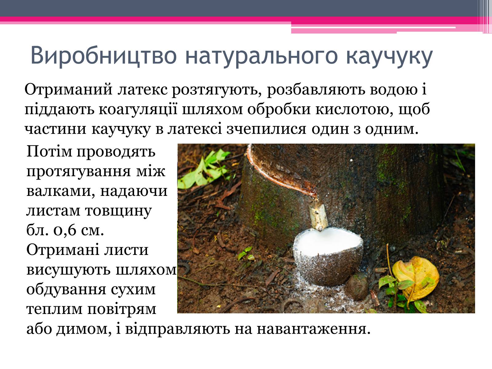 Презентація на тему «Природний каучук» - Слайд #9 Презентація на тему «Природний каучук» - Слайд #9