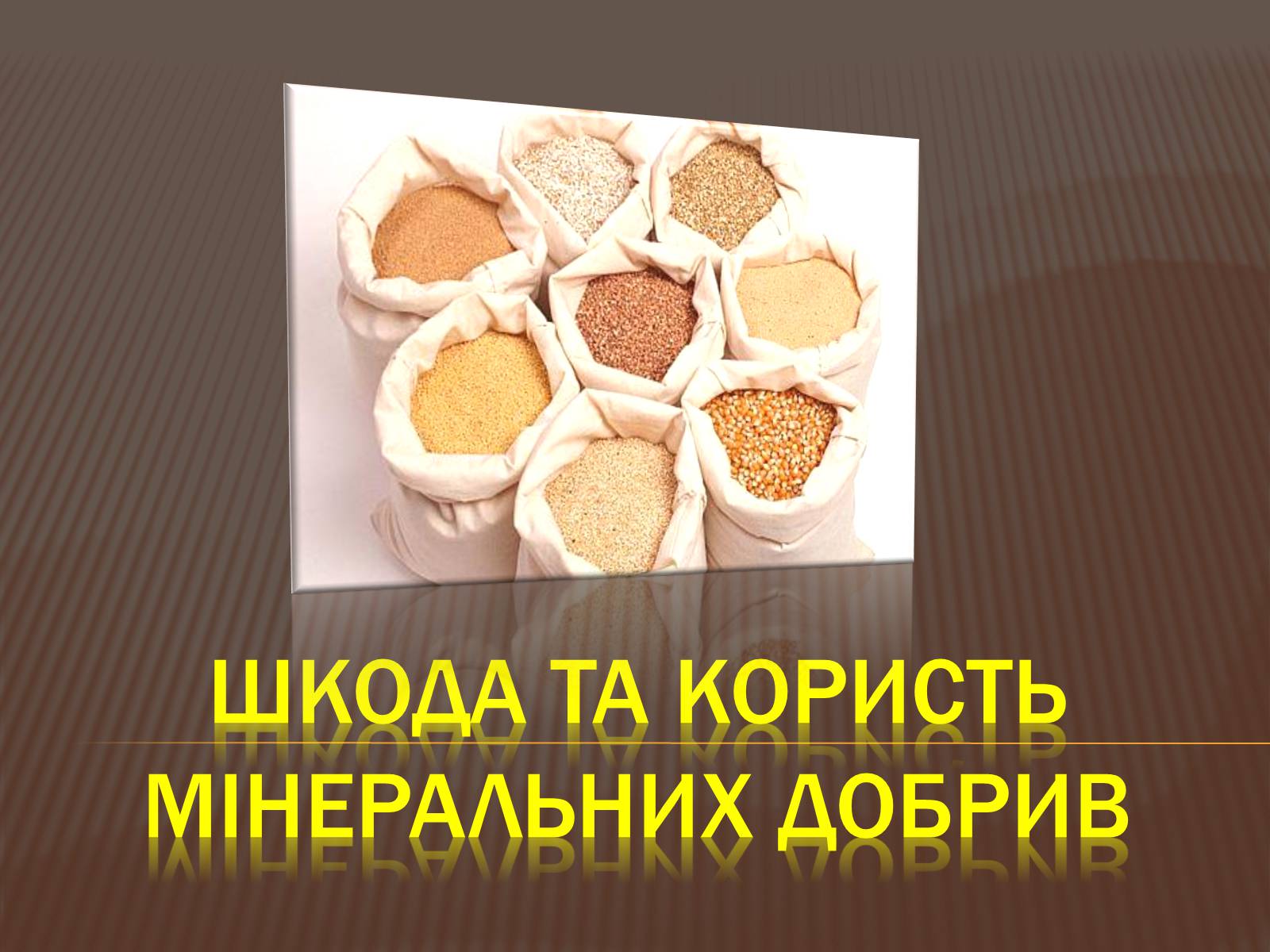 Презентація на тему «Шкода та користь мінеральних добрив» - Слайд #1 Презентація на тему «Шкода та користь мінеральних добрив» - Слайд #1