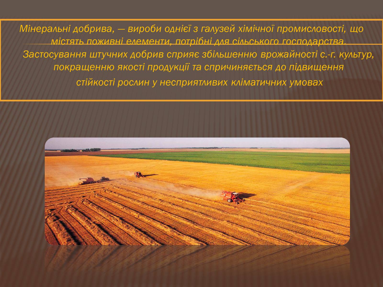 Презентація на тему «Шкода та користь мінеральних добрив» - Слайд #2 Презентація на тему «Шкода та користь мінеральних добрив» - Слайд #2