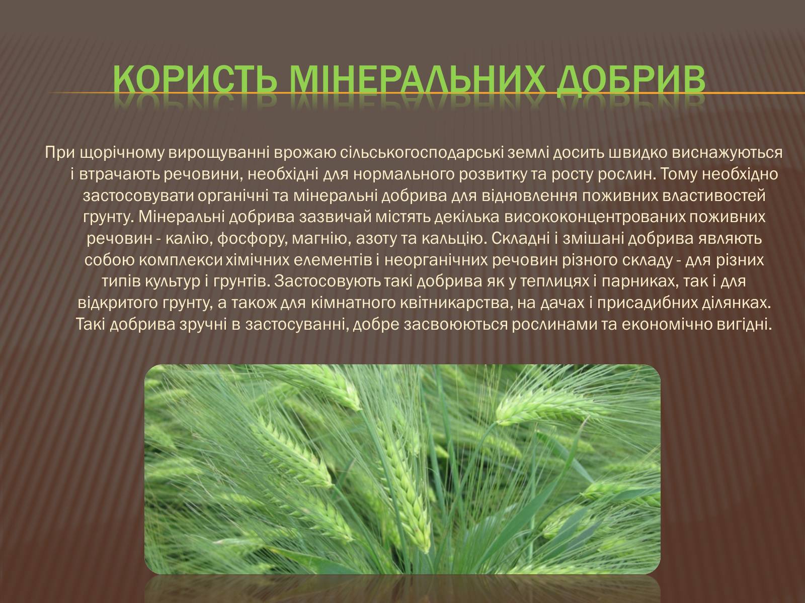Презентація на тему «Шкода та користь мінеральних добрив» - Слайд #4 Презентація на тему «Шкода та користь мінеральних добрив» - Слайд #4