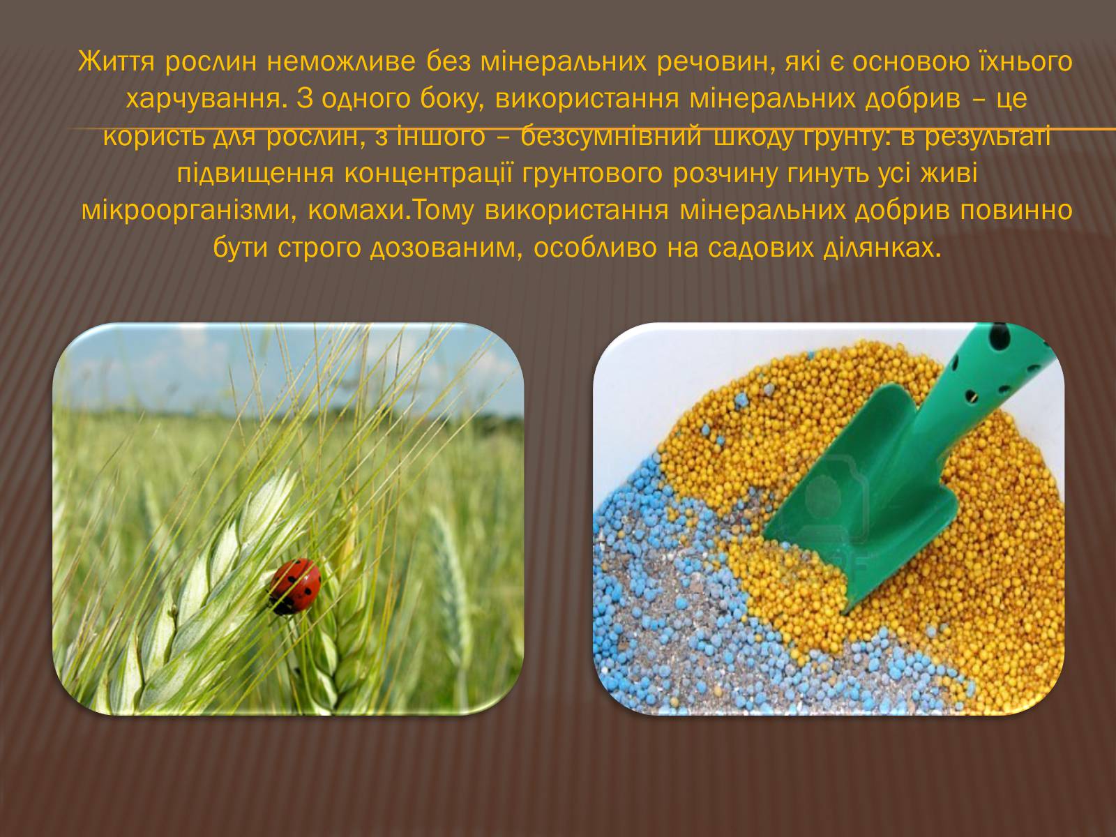Презентація на тему «Шкода та користь мінеральних добрив» - Слайд #6 Презентація на тему «Шкода та користь мінеральних добрив» - Слайд #6