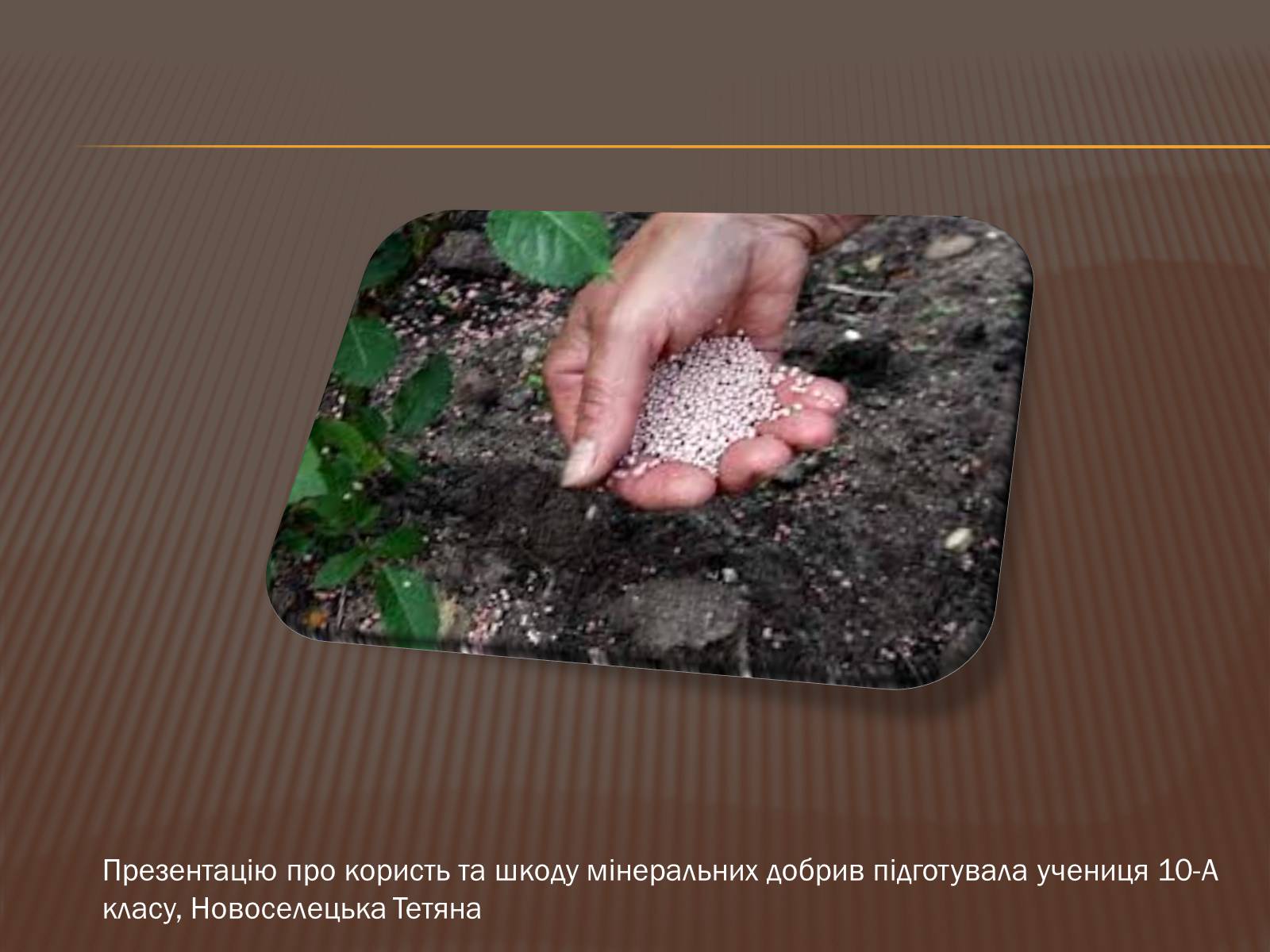 Презентація на тему «Шкода та користь мінеральних добрив» - Слайд #7 Презентація на тему «Шкода та користь мінеральних добрив» - Слайд #7