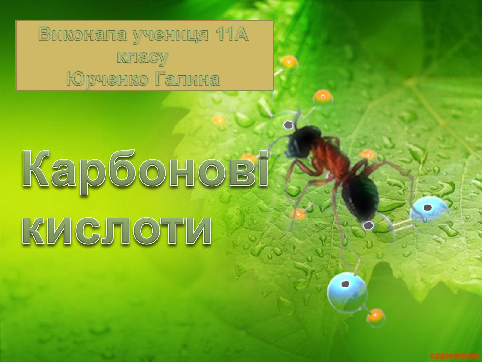 Презентація на тему «Карбонові кислоти» (варіант 1) - Слайд #1 Презентація на тему «Карбонові кислоти» (варіант 1) - Слайд #1
