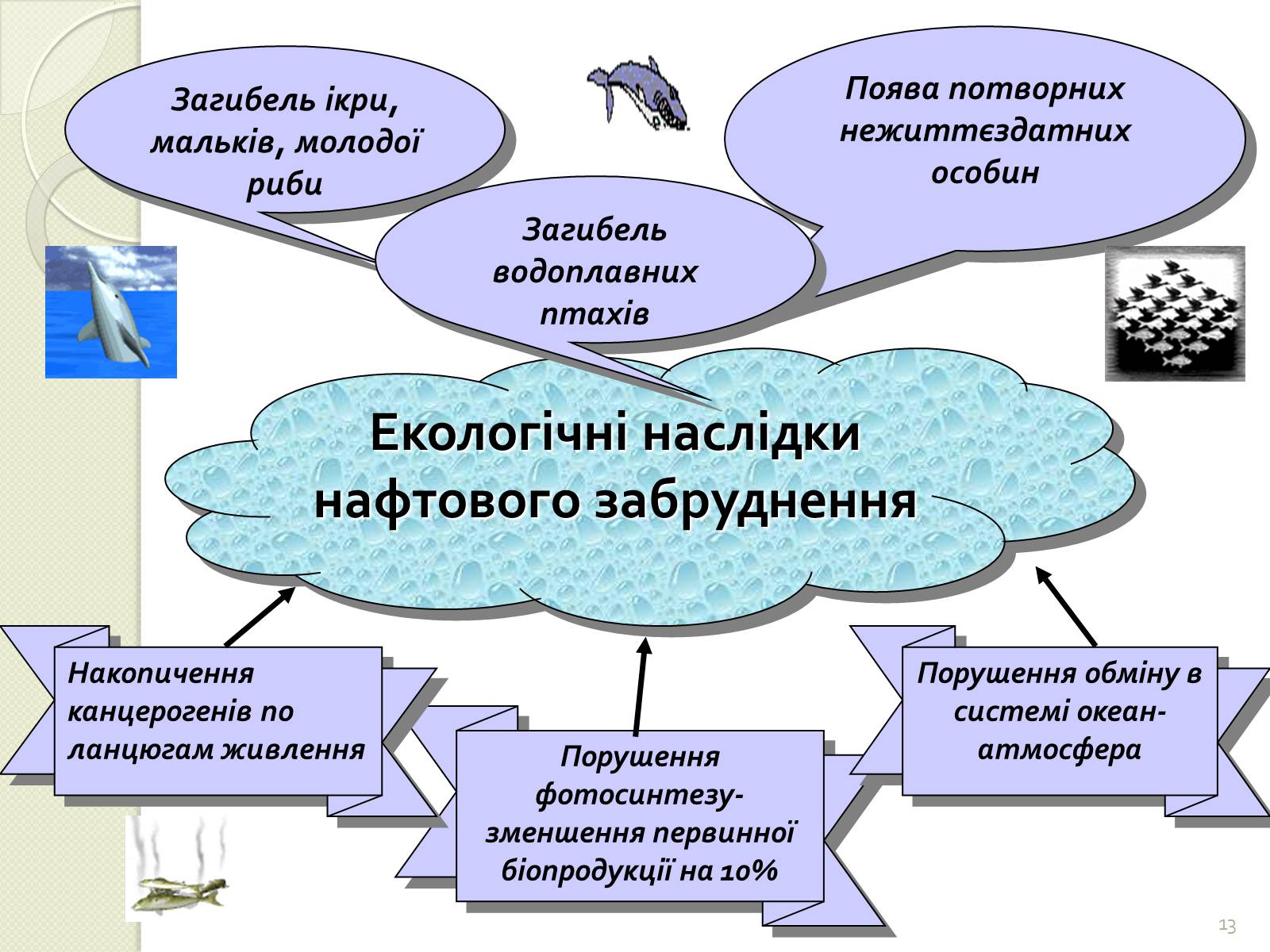 Презентація на тему «Охорона навколишнього середовища від забруднень під час переробки вуглеводневої сировини та використанні її продуктів переробки» (варіант 2) - Слайд #13 Презентація на тему «Охорона навколишнього середовища від забруднень під час переробки вуглеводневої сировини та використанні її продуктів переробки» (варіант 2) - Слайд #13