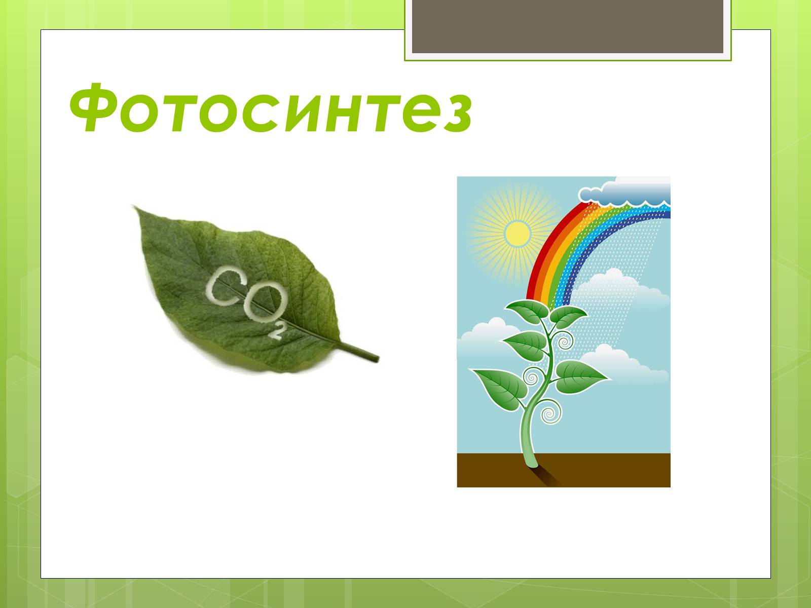 Презентація на тему «Колообіг Карбону в природі» (варіант 1) - Слайд #5 Презентація на тему «Колообіг Карбону в природі» (варіант 1) - Слайд #5