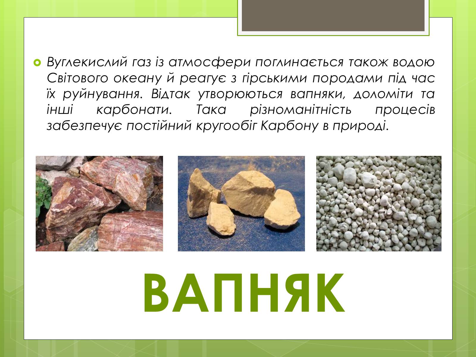 Презентація на тему «Колообіг Карбону в природі» (варіант 1) - Слайд #8 Презентація на тему «Колообіг Карбону в природі» (варіант 1) - Слайд #8