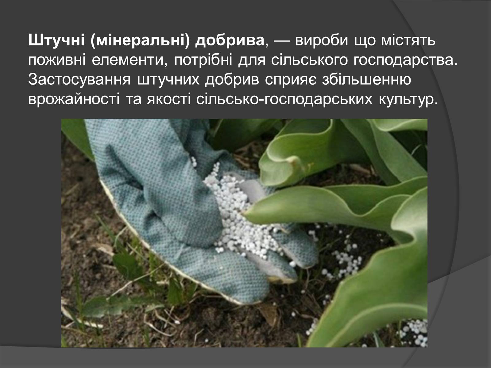 Презентація на тему «Мінеральні добрива» (варіант 10) - Слайд #4 Презентація на тему «Мінеральні добрива» (варіант 10) - Слайд #4
