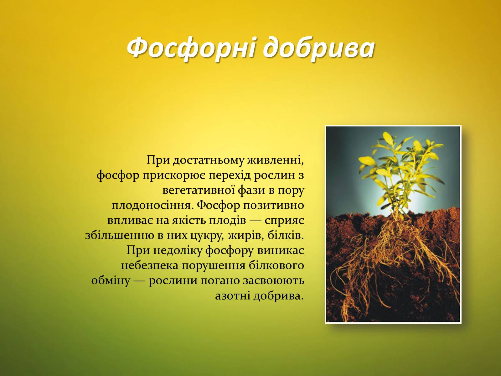 Презентація на тему «Мінеральні добрива та їх класифікація» - Слайд #10 Презентація на тему «Мінеральні добрива та їх класифікація» - Слайд #10