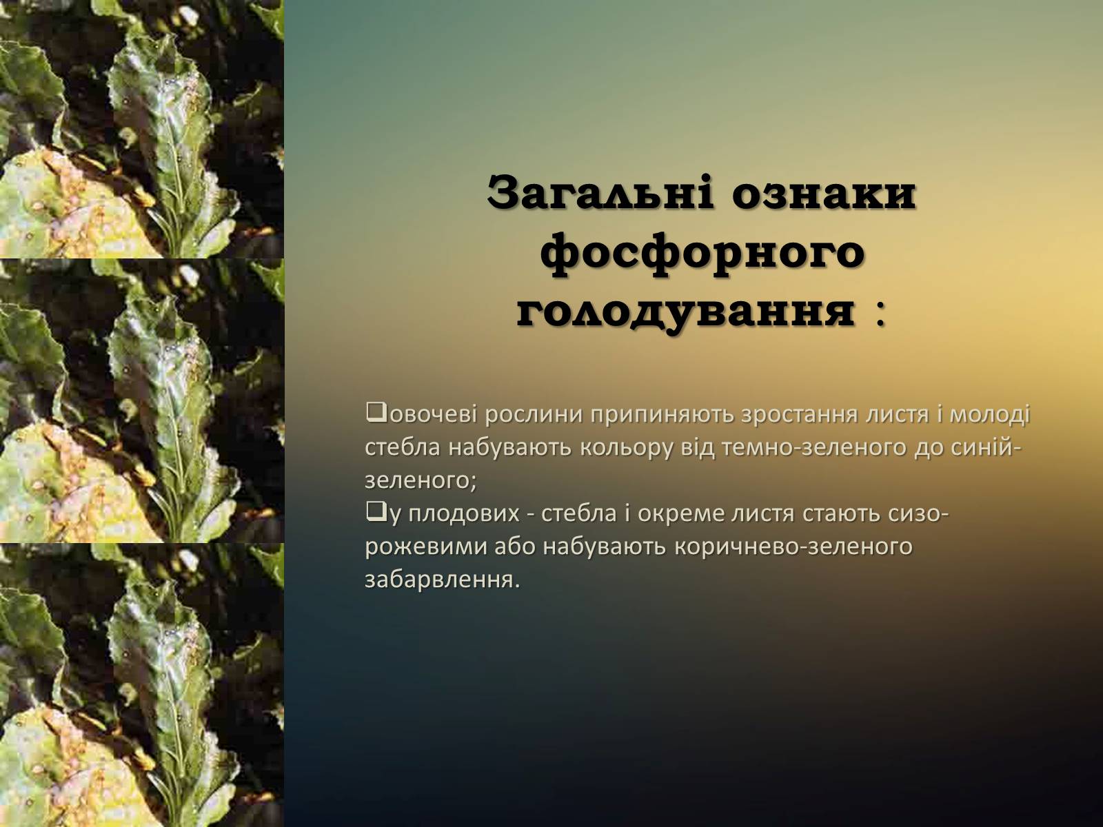 Презентація на тему «Мінеральні добрива та їх класифікація» - Слайд #11 Презентація на тему «Мінеральні добрива та їх класифікація» - Слайд #11