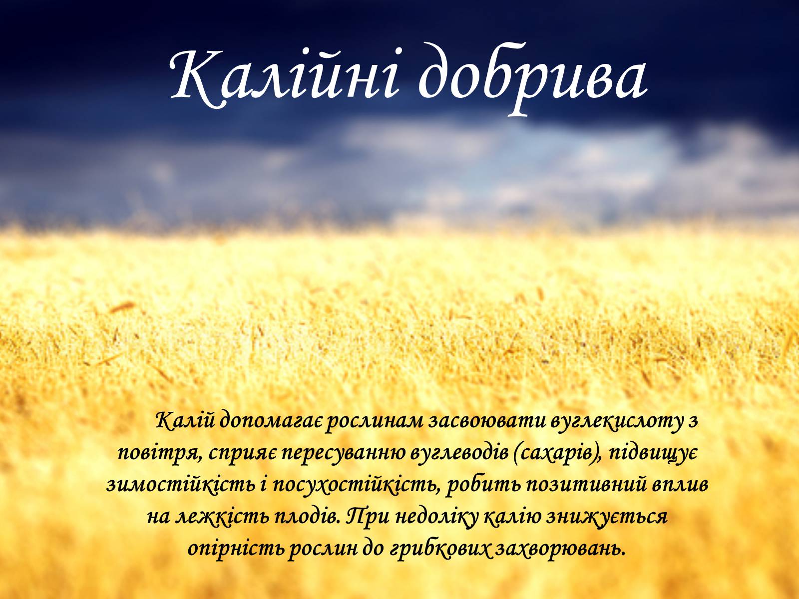 Презентація на тему «Мінеральні добрива та їх класифікація» - Слайд #14 Презентація на тему «Мінеральні добрива та їх класифікація» - Слайд #14