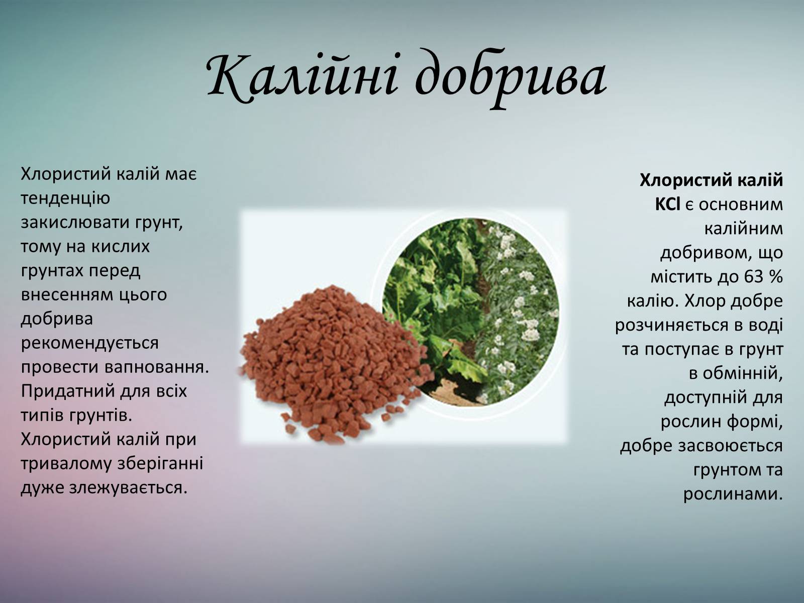 Презентація на тему «Мінеральні добрива та їх класифікація» - Слайд #15 Презентація на тему «Мінеральні добрива та їх класифікація» - Слайд #15