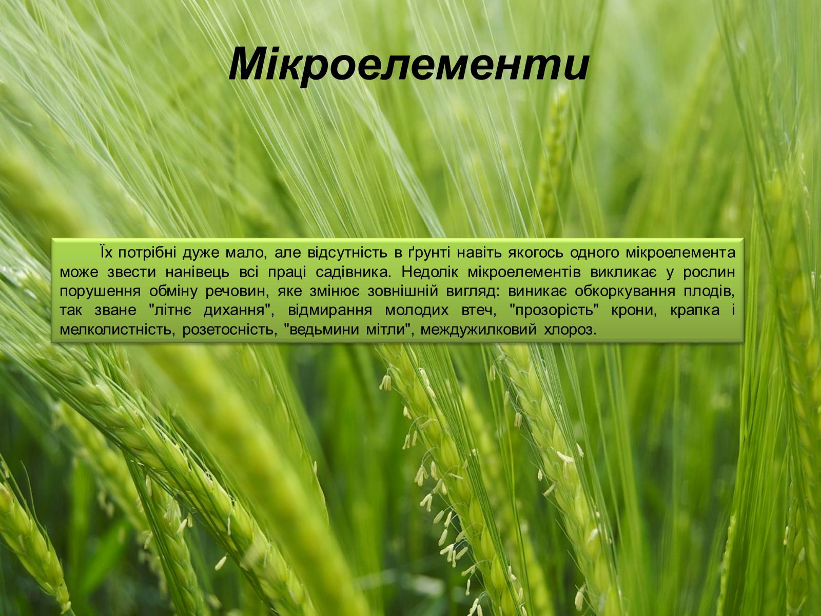 Презентація на тему «Мінеральні добрива та їх класифікація» - Слайд #17 Презентація на тему «Мінеральні добрива та їх класифікація» - Слайд #17
