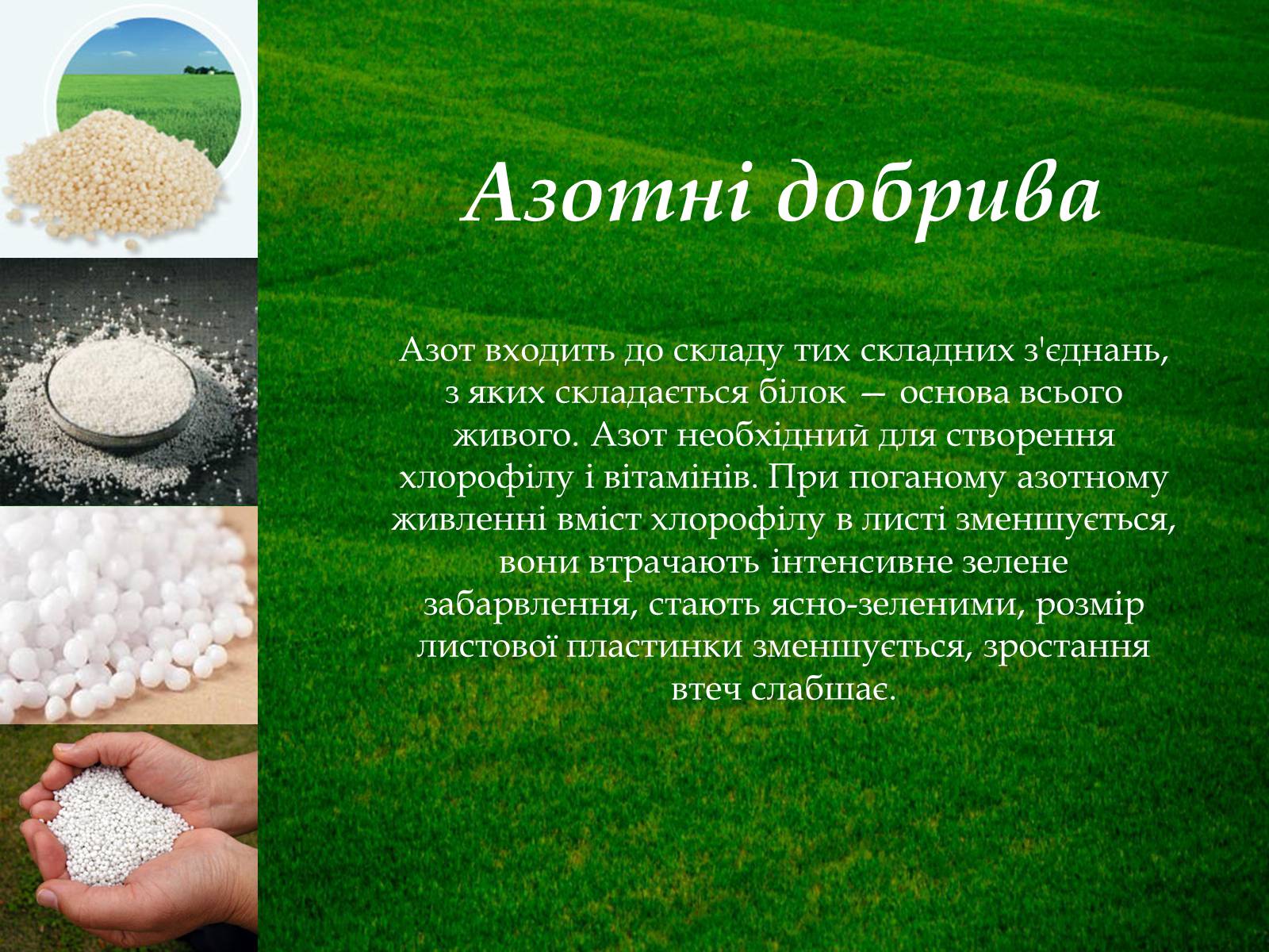 Презентація на тему «Мінеральні добрива та їх класифікація» - Слайд #4 Презентація на тему «Мінеральні добрива та їх класифікація» - Слайд #4