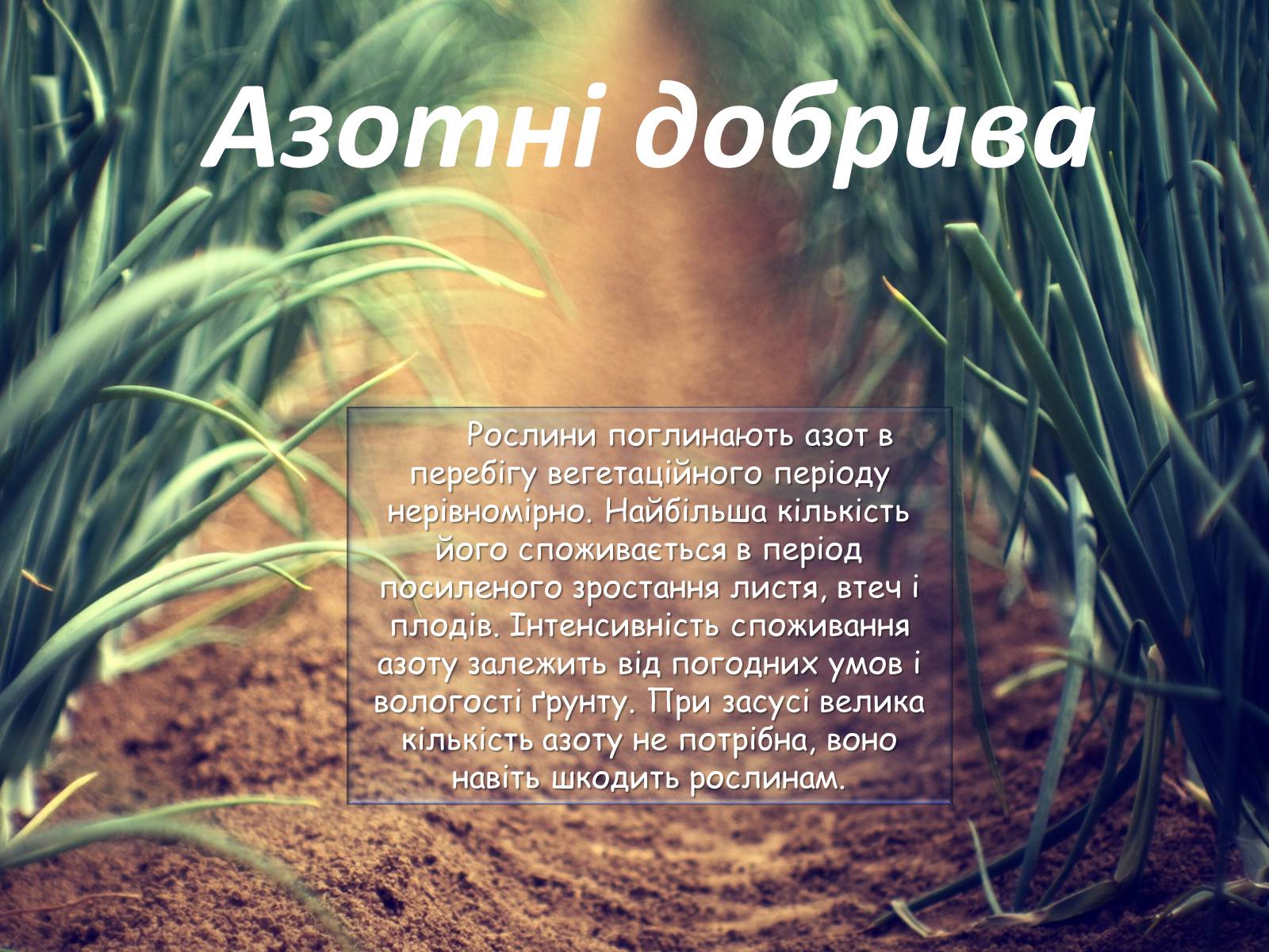 Презентація на тему «Мінеральні добрива та їх класифікація» - Слайд #5 Презентація на тему «Мінеральні добрива та їх класифікація» - Слайд #5