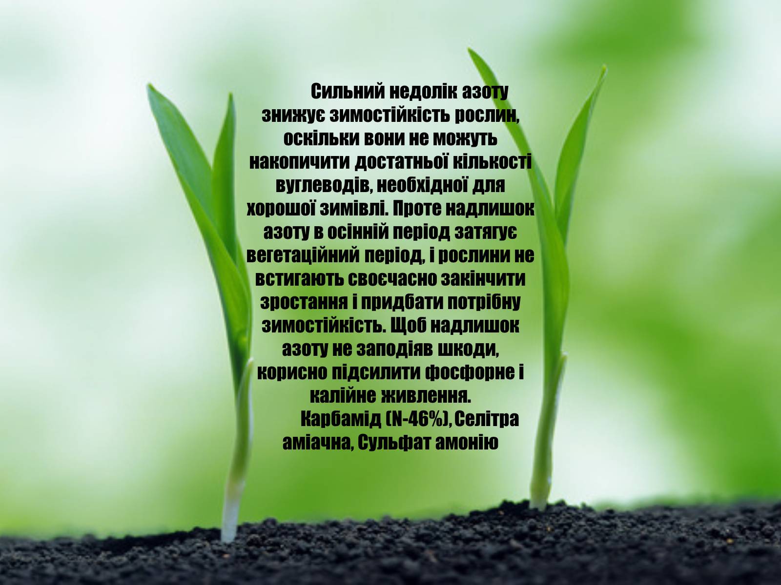 Презентація на тему «Мінеральні добрива та їх класифікація» - Слайд #6 Презентація на тему «Мінеральні добрива та їх класифікація» - Слайд #6