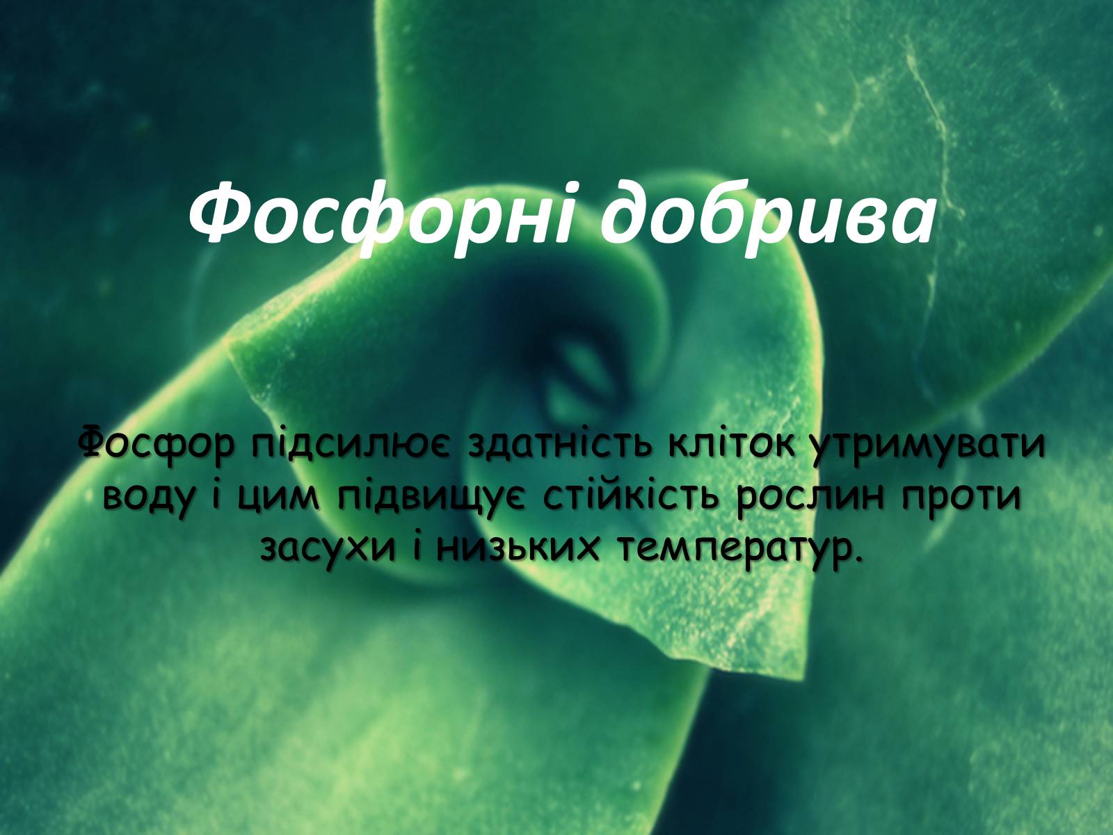 Презентація на тему «Мінеральні добрива та їх класифікація» - Слайд #9 Презентація на тему «Мінеральні добрива та їх класифікація» - Слайд #9