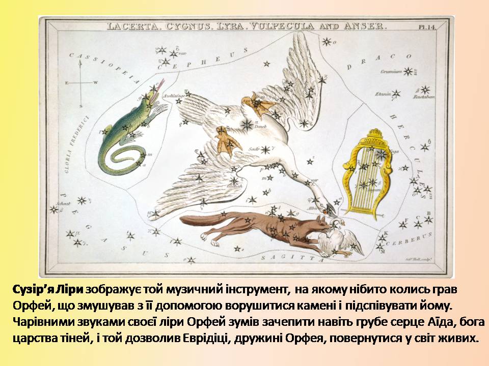 Презентація на тему «Легенди про сузір’я» (варіант 2) - Слайд #8 Презентація на тему «Легенди про сузір’я» (варіант 2) - Слайд #8
