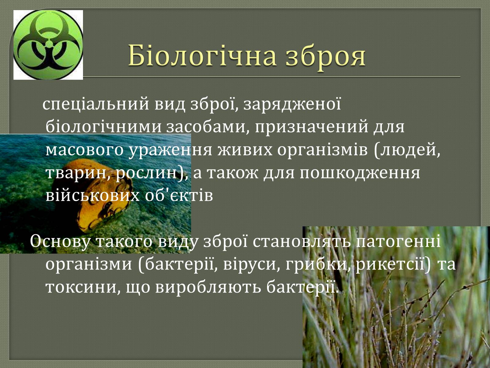 Презентація на тему «Хімічна і біологічна зброя» - Слайд #9 Презентація на тему «Хімічна і біологічна зброя» - Слайд #9