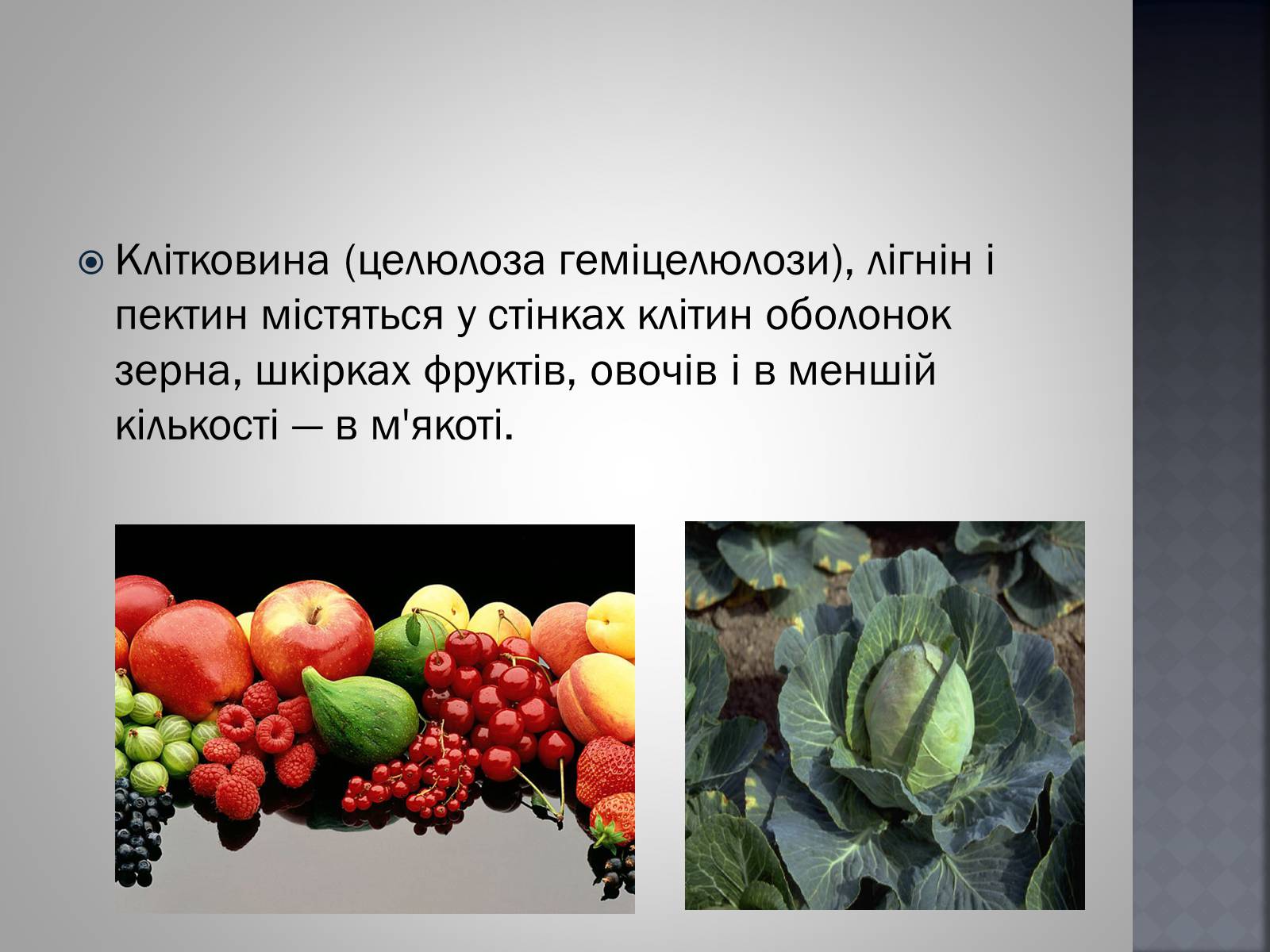 Презентація на тему «Хімія та їжа» (варіант 1) - Слайд #13 Презентація на тему «Хімія та їжа» (варіант 1) - Слайд #13