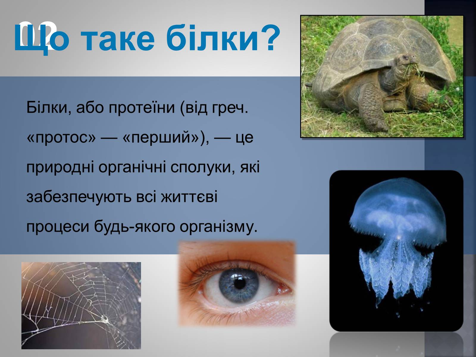 Презентація на тему «Хімія та їжа» (варіант 1) - Слайд #15 Презентація на тему «Хімія та їжа» (варіант 1) - Слайд #15